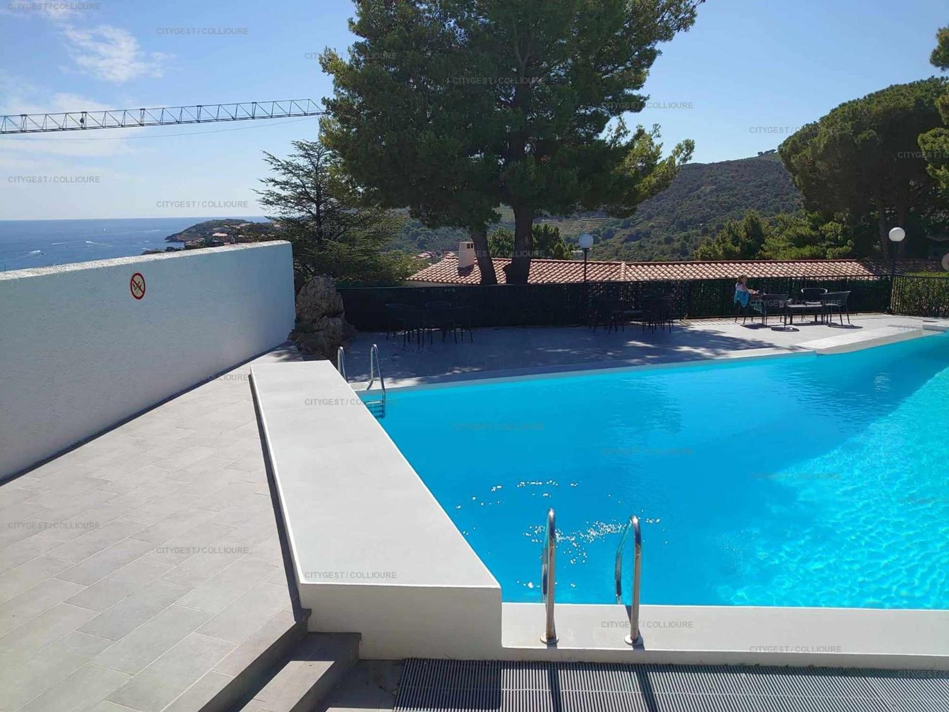 6Amb38 Villa Avec Terrasse Dans Residence Avec Piscine Commune Колліур Екстер'єр фото